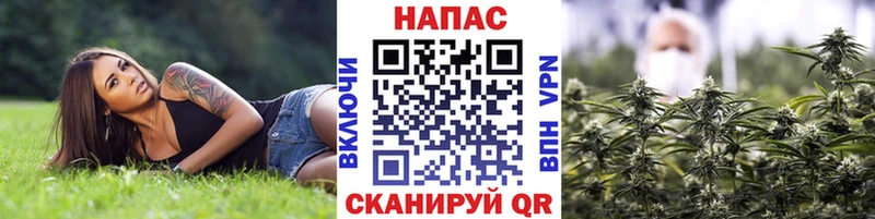 Сколько стоит Артём Cocaine Alpha PVP МЕТАМФЕТАМИН МАРИХУАНА Мефедрон ГАШ