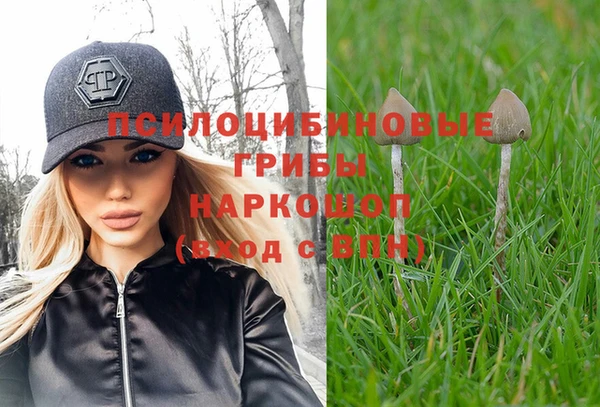 mix Алексеевка