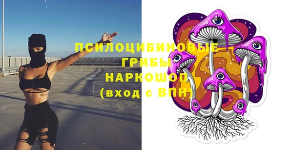 винт Алексин